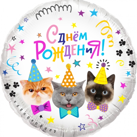 Котики, С Днем Рождения!